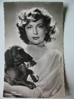 Vintage Postcard Anne Vernon