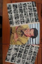 Vintage Clippings Ray Milland Lot Of Pics !