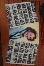 Vintage Clippings Madeleine Robinson Lot Of Pics !