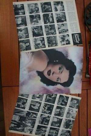 Vintage Clippings Linda Darnell Lot Of Pics !
