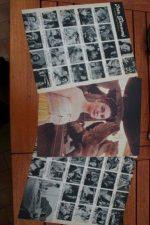 Vintage Clippings Jean Simmons Lot Of Pics !