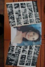 Vintage Clippings Merle Oberon Lot Of Pics !