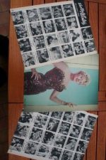 Vintage Clippings Shelley Winters Lot Of Pics !