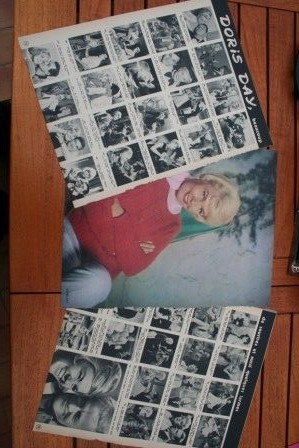 Vintage Clippings Doris Day Lot Of Pics !