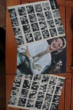 Vintage Clippings Loretta Young Lot Of Pics !