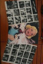 Vintage Clippings Marion Davies Lot Of Pics !