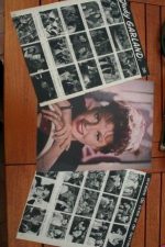 Vintage Clippings Judy Garland Lot Of Pics !