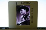 Original Ekta Errol Flynn Portrait