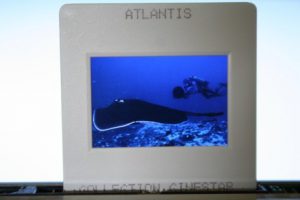 Original Ekta Atlantis Luc Besson