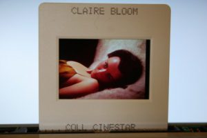 Original Ekta Claire Bloom