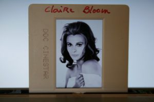 Original Ekta Claire Bloom