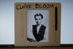 Original Ekta Claire Bloom