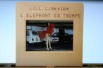 Original Ekta Anny Duperey Un Elephant Ca Trompe