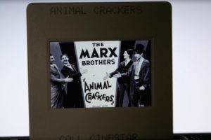 Original Ekta Marx Brothers Animal Crackers