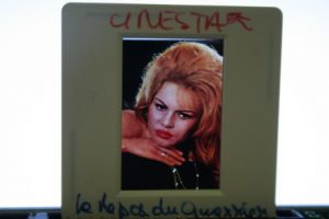 Original Ekta Brigitte Bardot Love on a Pillow