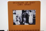 Original Ekta Cary Grant Bringing Up Baby